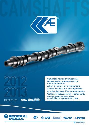 CATAE1101
