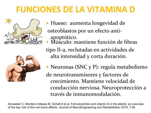 Vitamina D en el manejo de la Sarcopenia. Clara Perret.