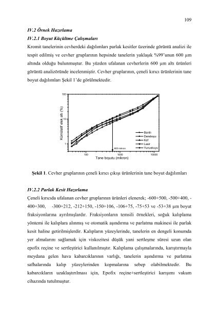 çeneli kırıcıda ufalanan kromitlerin tane şekil karakterizasyonu