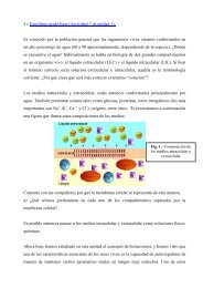 4) Equilibrio Ã¡cido-base (Actividad 7 de unidad 1). Es conocido por ...