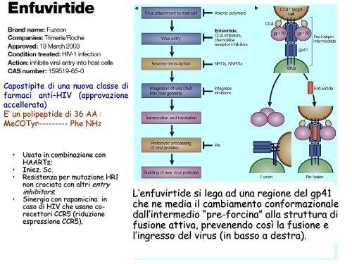 Antivirali 2008-2009