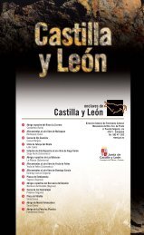 Castilla y León - caminos de arte rupestre prehistórico