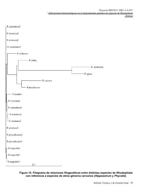 Aplicaciones biotecnolÃ³gicas en el mejoramiento genÃ©tico de ...