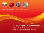 Fire Behaviour of Household Appliances towards External Ignition