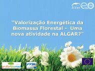 uma nova actividade na ALGAR? / Energy recovery of forest biomass