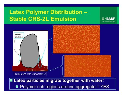 Polymer Modified Emulsions