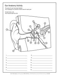 Ask A Biologist - Ear Anatomy - Worksheet Activity