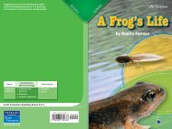 A Frog's Life.pdf