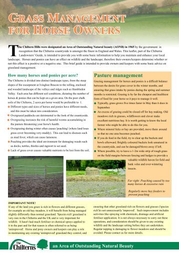 Grass Management for Horse Owners - The Chilterns