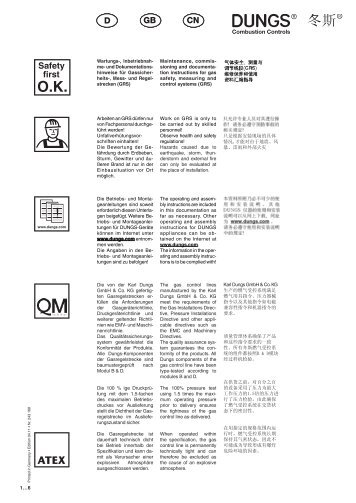 und Montageanleitung (D, GB, CN): 243168 - Dungs Mobile