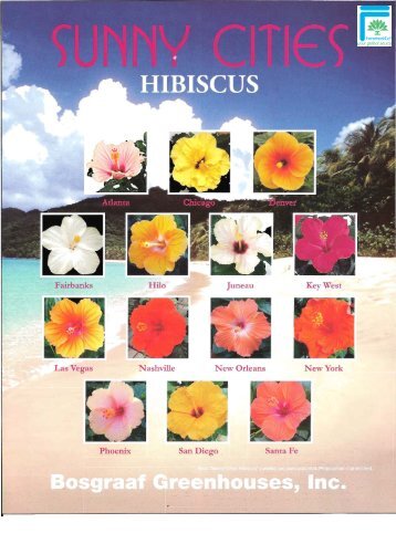 Sunny Cities Hibiscus - Info Sheet (PDF) - ForemostCo