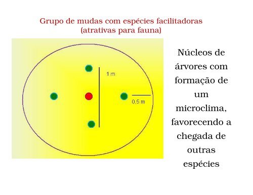 RestauraÃ§Ã£o de Ã¡reas degradadas com Ãªnfase em ... - SIGAM