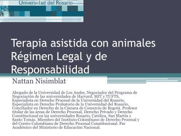 Régimen Legal y de Responsabilidad - Nisimblat Abogados