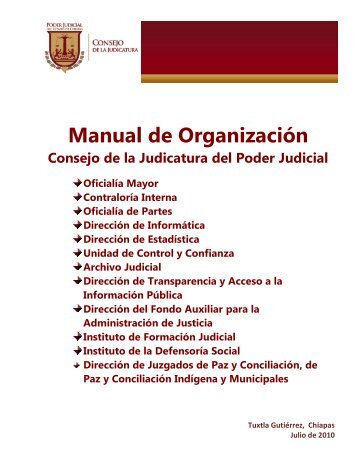 Manual de OrganizaciÃ³n - Poder Judicial del Estado de Chiapas