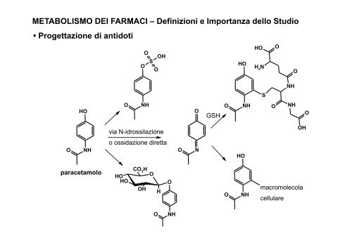 Metabolismo - Università degli Studi di Bari