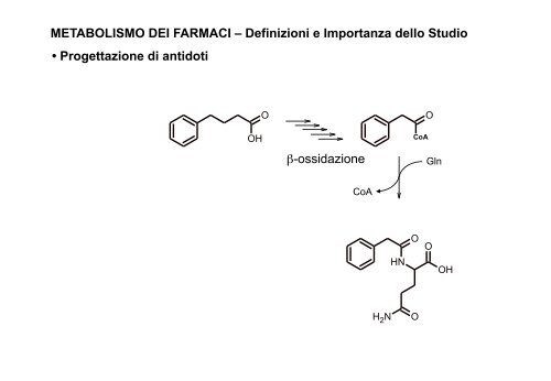 Metabolismo - Università degli Studi di Bari