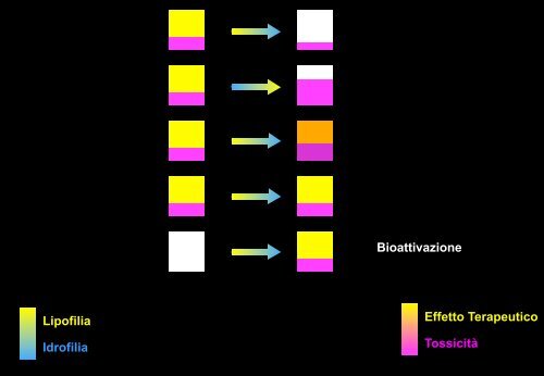 Metabolismo - Università degli Studi di Bari