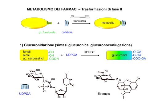 Metabolismo - Università degli Studi di Bari