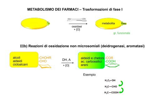 Metabolismo - Università degli Studi di Bari