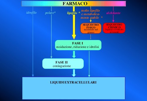 Metabolismo - Università degli Studi di Bari