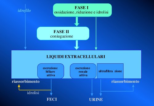 Metabolismo - Università degli Studi di Bari