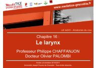 Le larynx - UniversitÃ© Virtuelle Paris 5