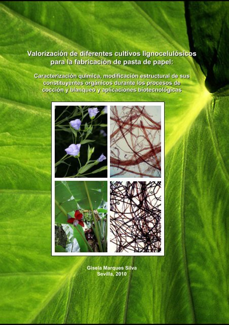 Resumen Instituto De Recursos Naturales Y Agrobiologia De