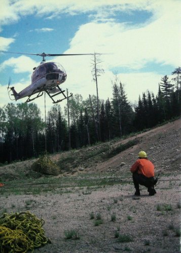 650 Helicopters Now Aid Tree Planting - webapps8
