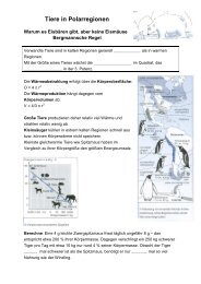 Unterrichtsmaterialien (Tiere in Polarregionen) - ZAMG