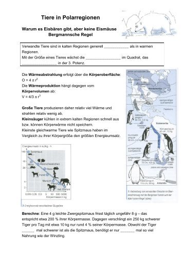 Unterrichtsmaterialien (Tiere in Polarregionen) - ZAMG