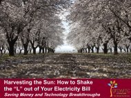 Harvesting the Sun: How to Shake the “L” out of Your Electricity Bill ...