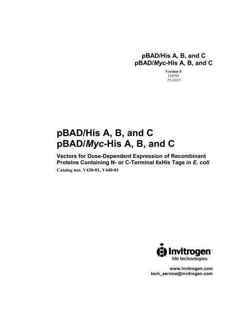 pBAD/Myc - Gene Synthesis