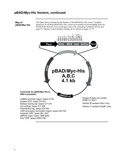 pBAD/Myc - Gene Synthesis