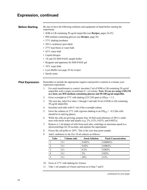 pBAD/Myc - Gene Synthesis