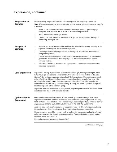 pBAD/Myc - Gene Synthesis