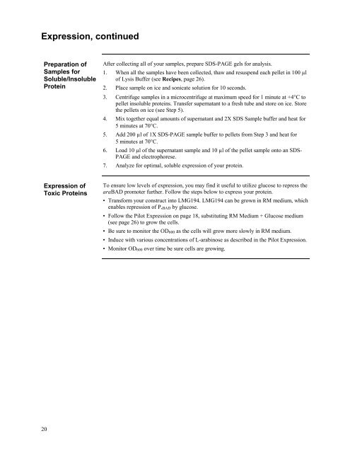 pBAD/Myc - Gene Synthesis