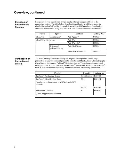 pBAD/Myc - Gene Synthesis