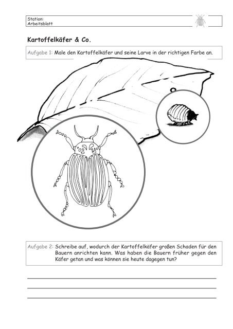 Lernzirkel Kartoffel - information.medien.agrar eV