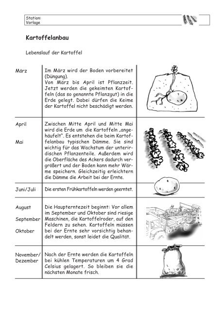 Lernzirkel Kartoffel - information.medien.agrar eV