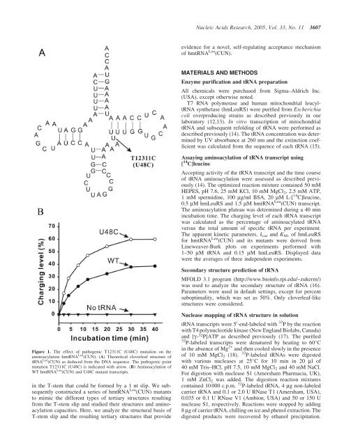 Screen PDF - Nucleic Acids Research
