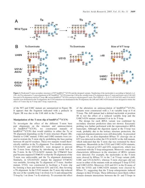 Screen PDF - Nucleic Acids Research