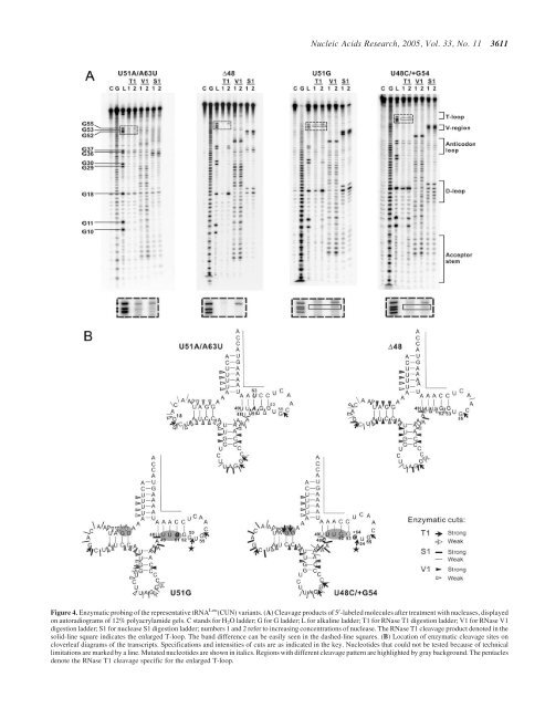 Screen PDF - Nucleic Acids Research