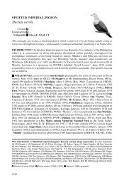 Ducula carola - BirdBase