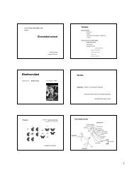 clase 1 - Biodiversidad x imprimir