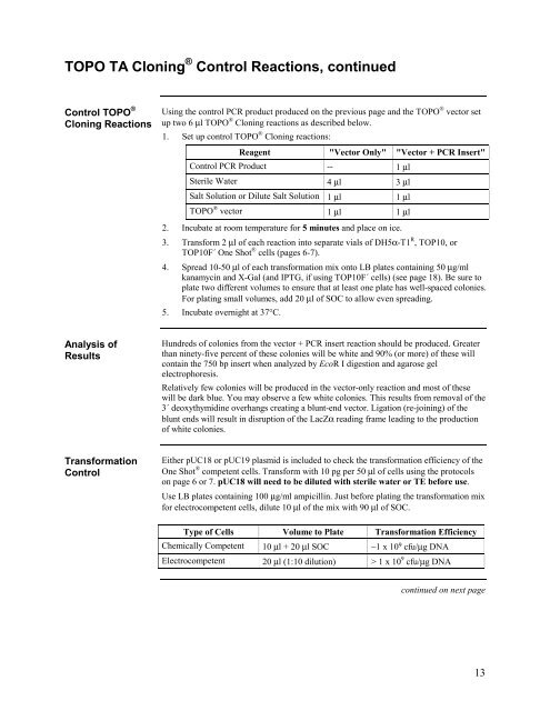 TOPO TA Cloning (Invitrogen)