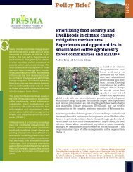 Policy Brief - Prisma