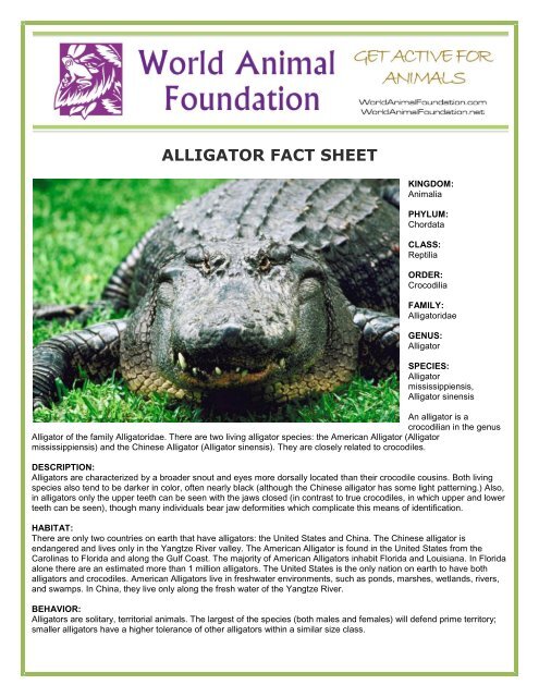 ALLIGATOR FACT SHEET - World Animal Foundation