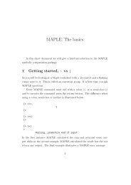 MAPLE: The basics