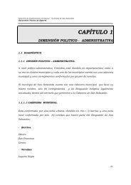 CAPÍTULO 1 - Corporación Autónoma Regional del Cauca