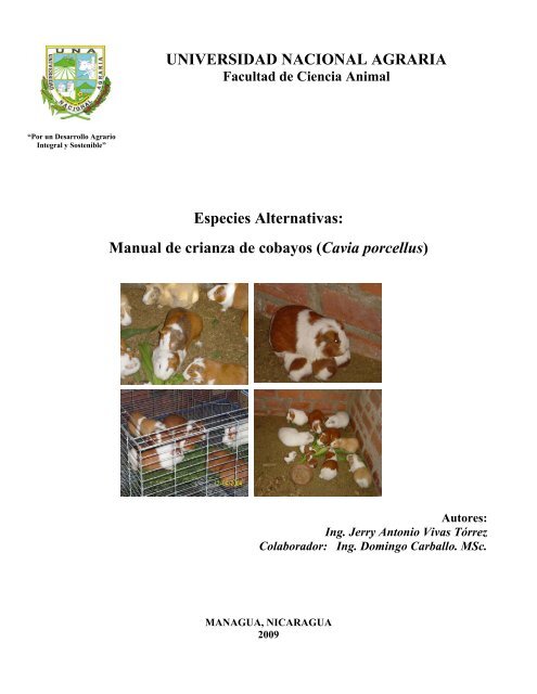 Especies Alternativas: Manual de crianza de cobayos - Centro ...